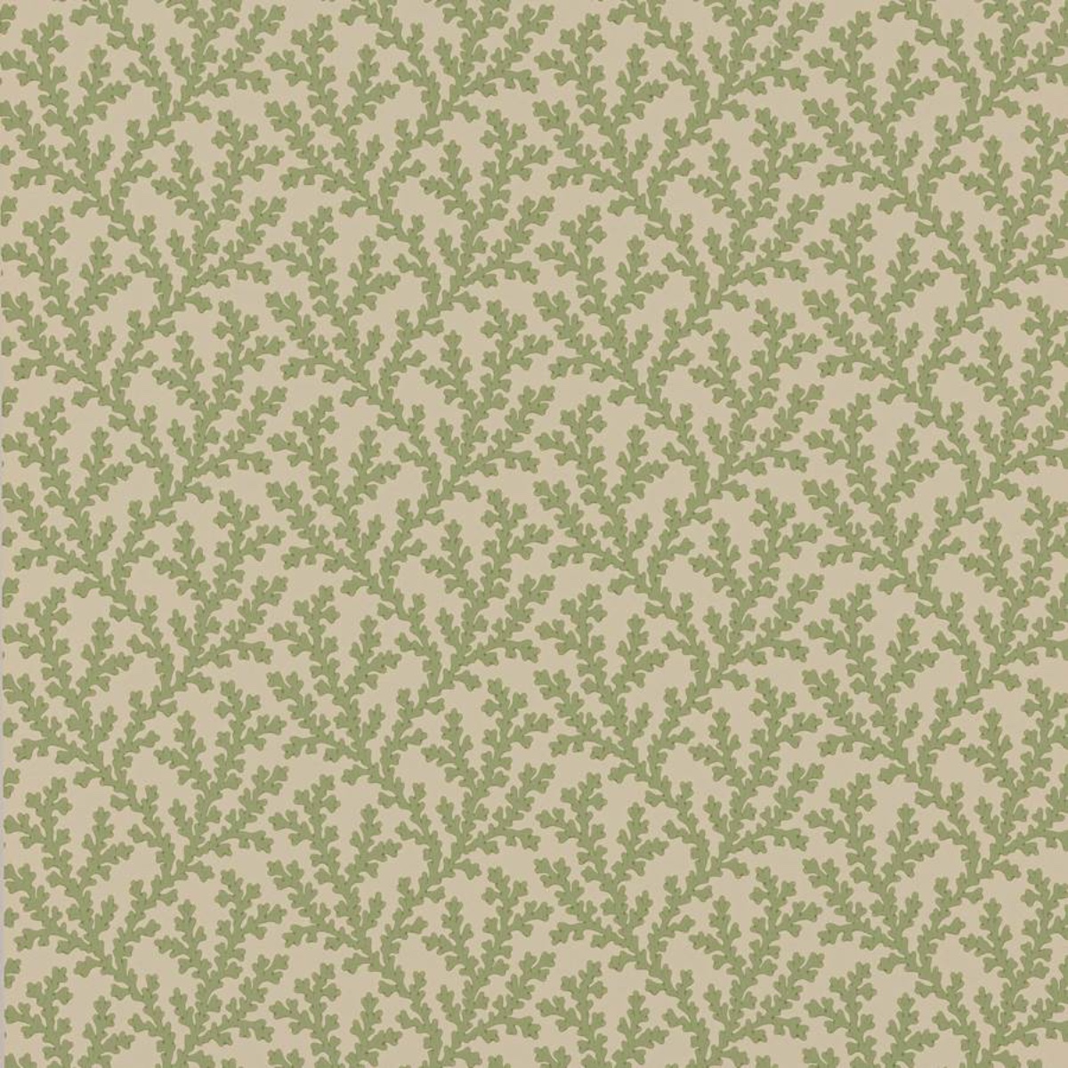 Colefax and Fowler | Sea Coral | Green