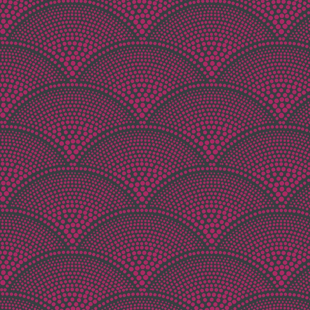 Cole & Son | Feather Fan Jacquard | Magenta on Charcoal