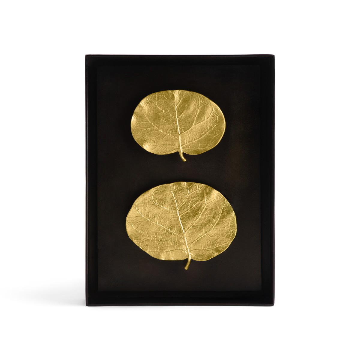 Michael Aram | Botanical Leaf Shadow Box