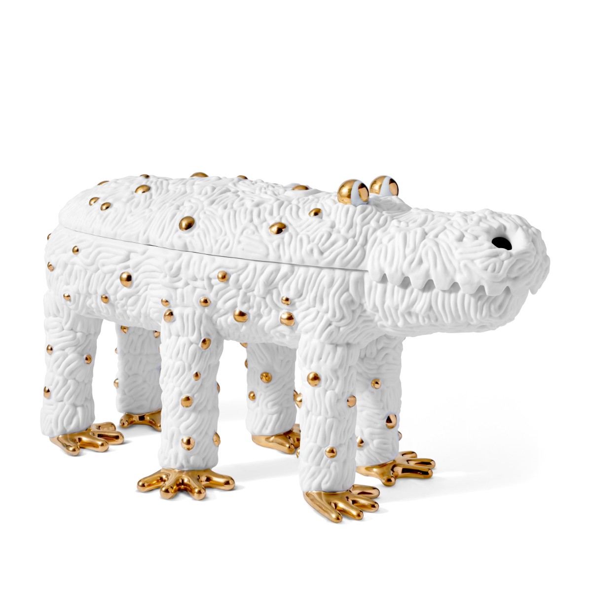 L’Objet | HAAS Brothers | Pedro The Croc Box - Limited Edition of 250