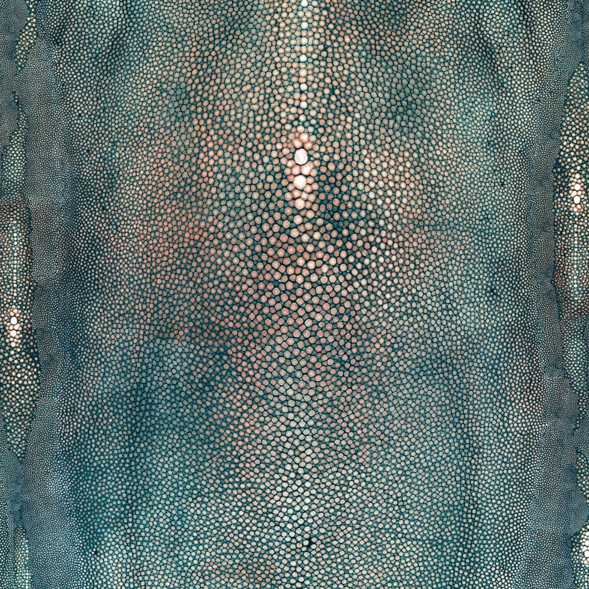 Jean Paul Gaultier | Precieux | Bleu