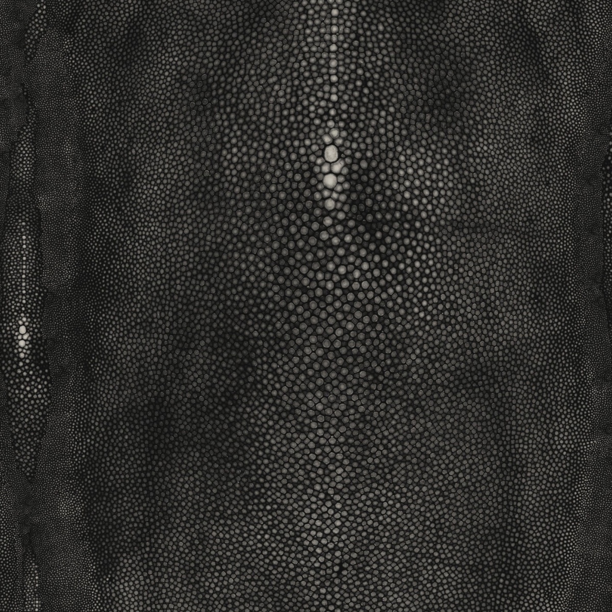 Jean Paul Gaultier | Precieux | Noir