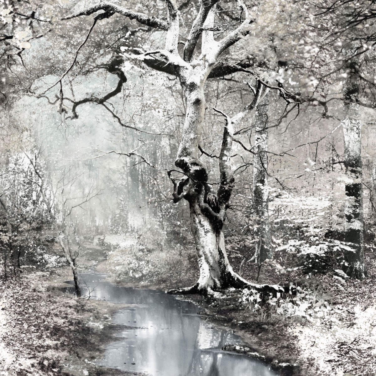Jean Paul Gaultier | Sous Bois | Crepuscule