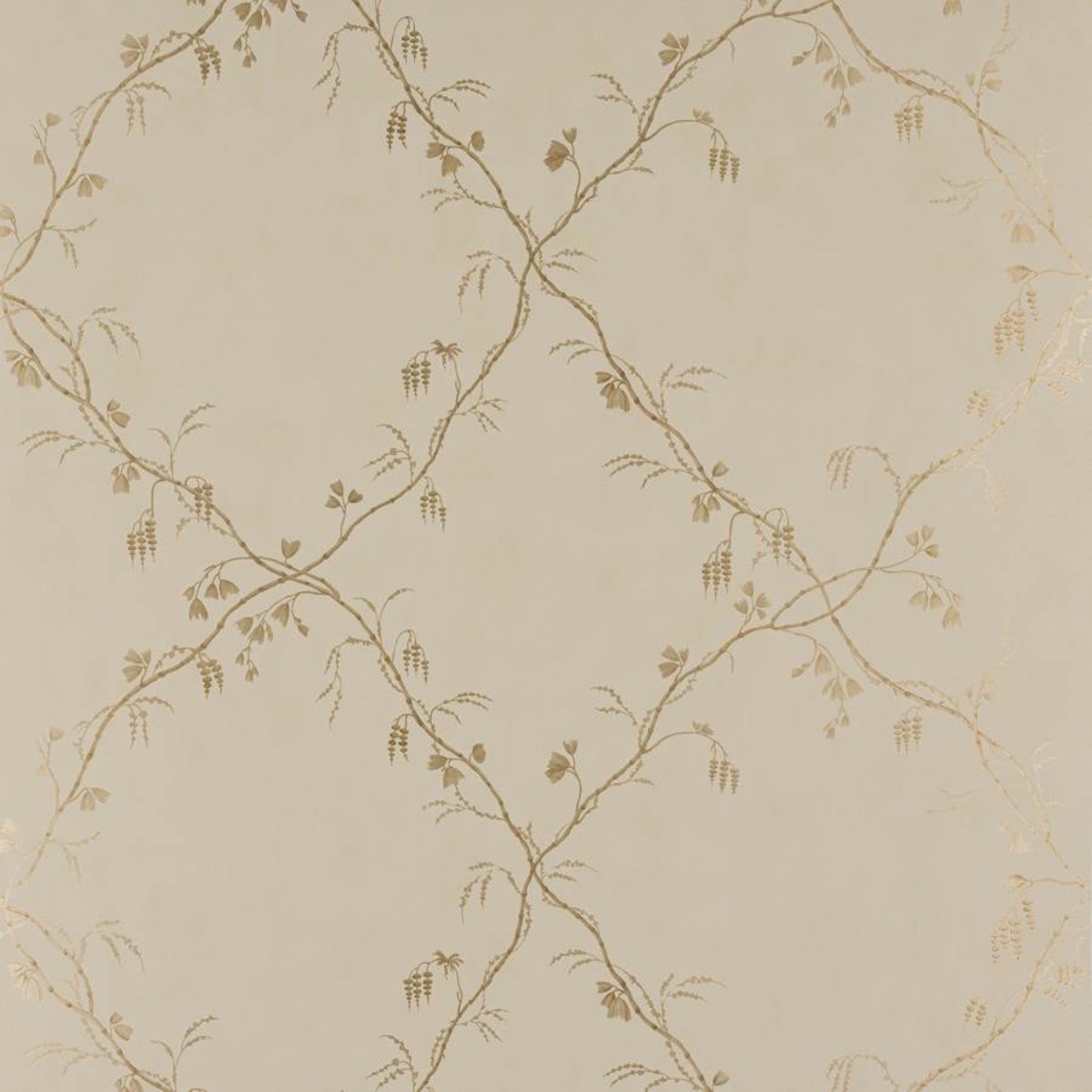 Colefax and Fowler | Roussillon | Ivory