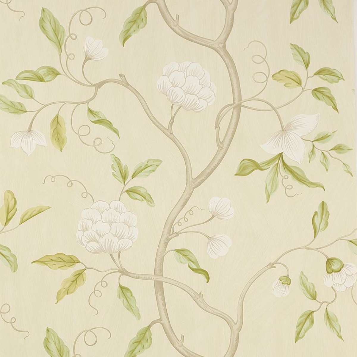 Colefax and Fowler | Snow Tree | Ivory