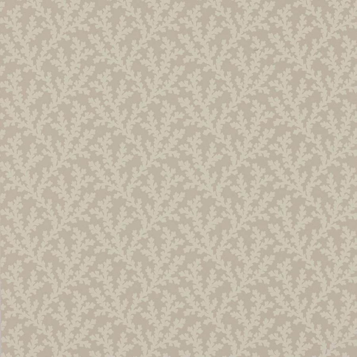 Colefax and Fowler | Sea Coral | Beige