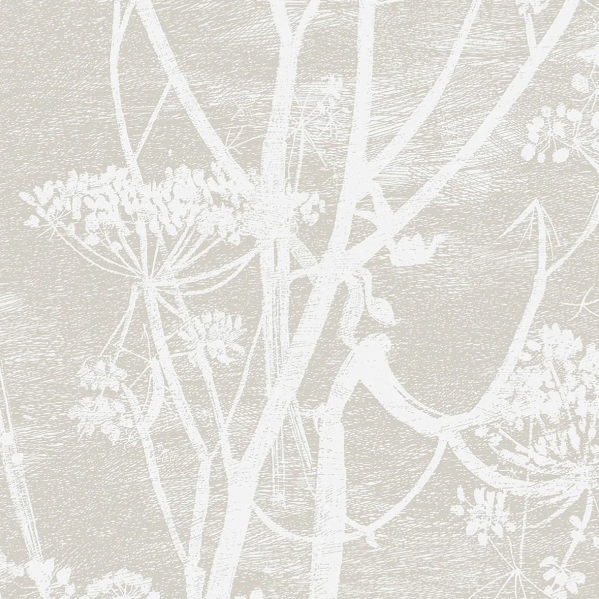 Cole & Son | Cow Parsley Linen | White and Taupe