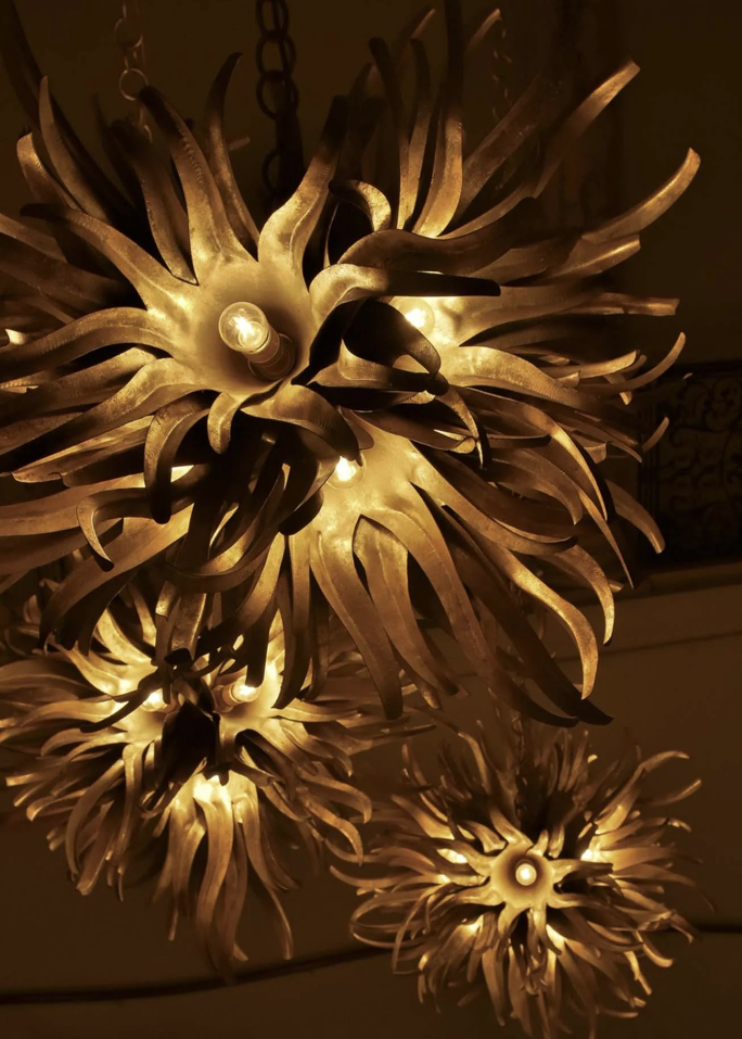 The Chandelier in all its glory! The Chandelier in all its glory!