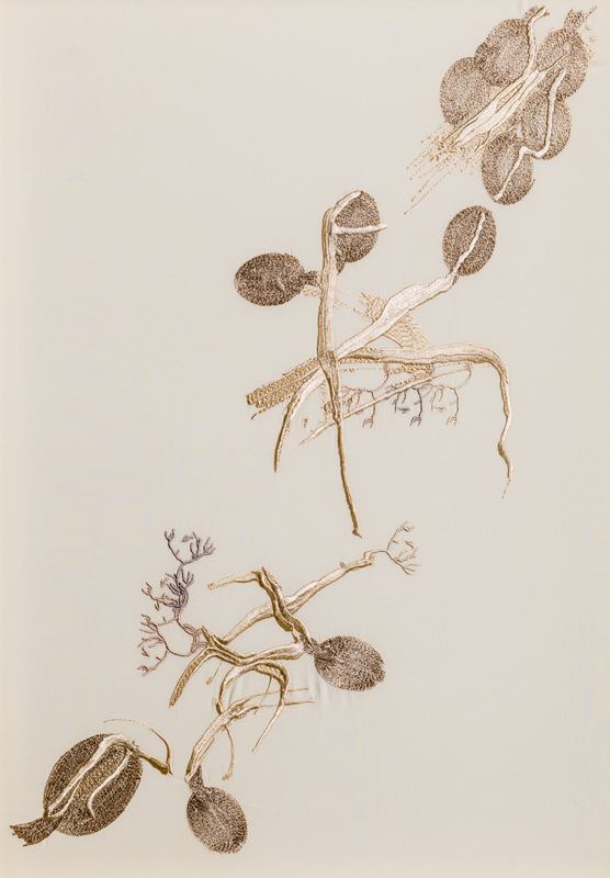 Entangled Embroidery 1