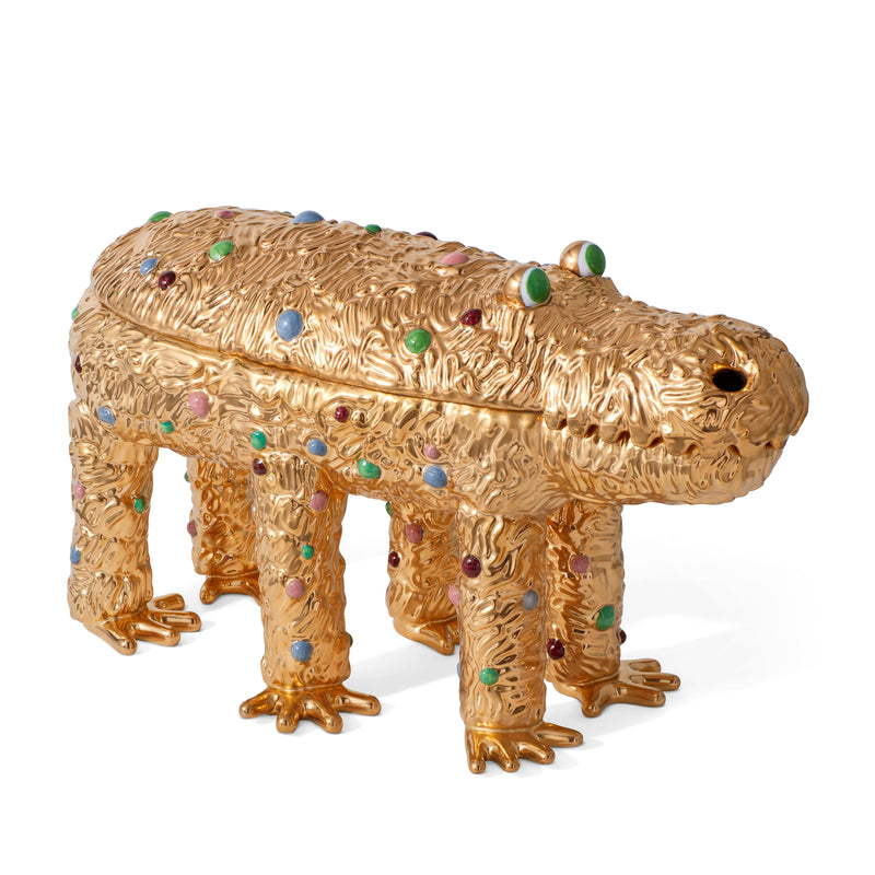 Pedro the Croc Box Pedro the Croc Box